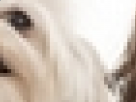 https://image.noelshack.com/minis/2017/30/4/1501126207-26-9fhwv6j2.png