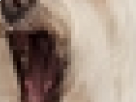 https://image.noelshack.com/minis/2017/30/4/1501126208-30-9fhwv6j2.png