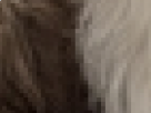 https://image.noelshack.com/minis/2017/30/4/1501126208-53-9fhwv6j2.png