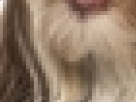 https://image.noelshack.com/minis/2017/30/4/1501126209-27-9fhwv6j2.png