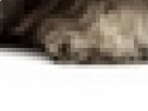 https://image.noelshack.com/minis/2017/30/4/1501126209-59-9fhwv6j2.png