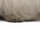 https://image.noelshack.com/minis/2017/30/4/1501126211-63-9fhwv6j2.png