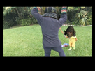 https://image.noelshack.com/fichiers/2017/30/4/1501174929-capture.png