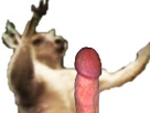 https://image.noelshack.com/minis/2017/30/5/1501194244-kangouqueu.png