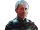 https://image.noelshack.com/fichiers/2017/30/7/1501444629-stannis-39.jpg