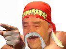 https://image.noelshack.com/fichiers/2017/31/1/1501456662-risihogan.png