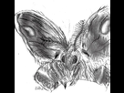 https://image.noelshack.com/fichiers/2017/31/1/1501497962-15014473380473344002.png