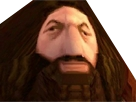 https://image.noelshack.com/fichiers/2017/31/1/1501537359-1497256871-hagrid.png
