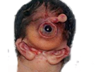 https://image.noelshack.com/minis/2017/31/2/1501547859-1491484186-risitasueur.png