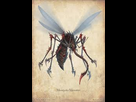 https://image.noelshack.com/minis/2017/31/4/1501763647-download-5.png