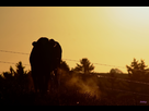 https://image.noelshack.com/fichiers/2017/31/6/1501922677-img-1815a-copier-2.jpg