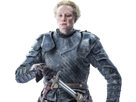 https://image.noelshack.com/fichiers/2017/31/7/1501970958-brienne-1.png