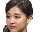 https://image.noelshack.com/fichiers/2017/32/1/1502103842-tzuyu.png