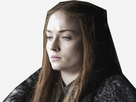 https://image.noelshack.com/fichiers/2017/32/1/1502137859-sansa-stark-looks-out-at-winterfell-957237.jpg