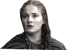 https://image.noelshack.com/fichiers/2017/32/1/1502137899-got-death-sansa.jpg