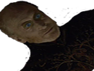 https://image.noelshack.com/fichiers/2017/32/2/1502151405-tywin.png