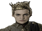 https://image.noelshack.com/fichiers/2017/32/2/1502218032-joffreybaratheon-profile.png