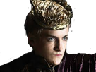 https://image.noelshack.com/fichiers/2017/32/2/1502218931-joffrey11.png