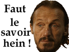 https://image.noelshack.com/fichiers/2017/32/3/1502281230-bronn5.png