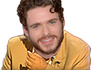 https://image.noelshack.com/fichiers/2017/32/4/1502326432-robbrire.png