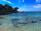 https://image.noelshack.com/fichiers/2017/32/4/1502368465-4-plage-de-palombaggia.jpg