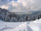 https://image.noelshack.com/fichiers/2017/32/4/1502368522-11-les-vosges-en-hiver.jpg