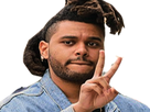 https://image.noelshack.com/fichiers/2017/32/4/1502368815-the-weeknd-peace-cousin.png