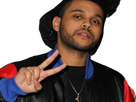 https://image.noelshack.com/fichiers/2017/32/4/1502368959-the-weeknd-peace-cousin-1.png