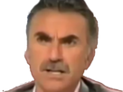 https://image.noelshack.com/fichiers/2017/32/4/1502395588-presentateur5.png