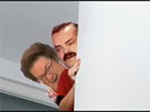 https://image.noelshack.com/fichiers/2017/32/4/1502395699-mais.jpg