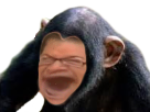 https://image.noelshack.com/fichiers/2017/32/4/1502396547-singe.png