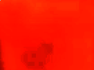 https://image.noelshack.com/fichiers/2017/32/4/1502397673-38-exozxjez.png