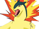 https://image.noelshack.com/fichiers/2017/32/5/1502473627-typhlosion.png