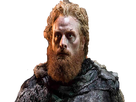 https://image.noelshack.com/fichiers/2017/32/7/1502582152-tormund35.png