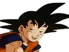https://image.noelshack.com/fichiers/2017/32/7/1502620394-dbz-9.jpg