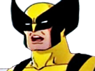 https://image.noelshack.com/fichiers/2017/33/1/1502729836-wolverine-mais-qu-est-ce-que-tu-racontes-hagoun.png