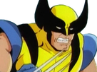 https://image.noelshack.com/fichiers/2017/33/1/1502729839-wolverine-sah-je-suis-zehef-ne-me-test-pas.png