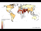 https://image.noelshack.com/fichiers/2017/33/4/1502994060-consanguinity-world-map-bittles.jpg