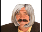 https://image.noelshack.com/fichiers/2017/33/5/1503056574-frysssj.png