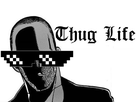 https://image.noelshack.com/fichiers/2017/33/5/1503058741-thug-jac.jpg