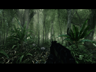 https://image.noelshack.com/fichiers/2017/33/5/1503064965-1360077751-ce2-jungle.jpg