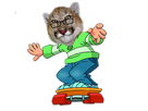 https://image.noelshack.com/fichiers/2017/33/5/1503084019-nixiosskate.png