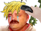 https://image.noelshack.com/fichiers/2017/34/1/1503344164-meliodastonte2.png