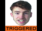 https://image.noelshack.com/minis/2017/34/3/1503444689-tristan-deter-triggered.png