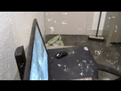 https://image.noelshack.com/fichiers/2017/34/3/1503455429-adrien.gif