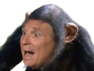 https://image.noelshack.com/fichiers/2017/34/4/1503574143-24281-full.png