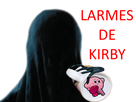 https://image.noelshack.com/fichiers/2017/34/4/1503598580-larmes-de-kirby.png