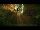 https://image.noelshack.com/fichiers/2017/34/5/1503650534-uncharted-tm-the-lost-legacy-20170825002617.png