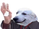 https://image.noelshack.com/fichiers/2017/34/5/1503666393-1490091556-risichien.png