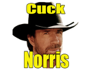 https://image.noelshack.com/minis/2017/34/5/1503676846-cuck-norris.png